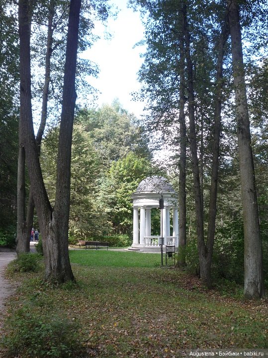 Прогулка в усадьбе Остафьево (фото 2)