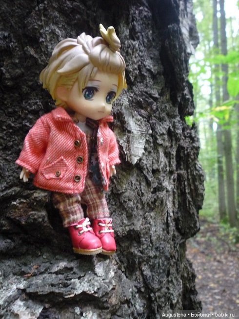 Инь и Ян впервые исследуют Измайловский парк (фото 3)