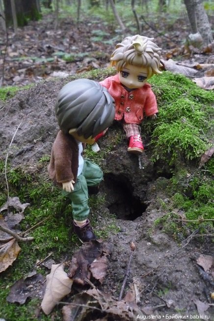 Инь и Ян впервые исследуют Измайловский парк (фото 5)