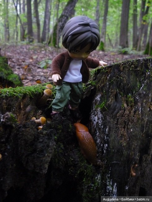 Инь и Ян впервые исследуют Измайловский парк (фото 4)