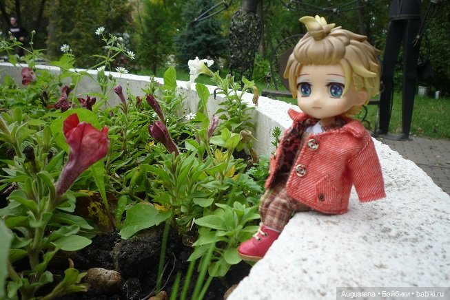 Инь и Ян. Важное уточнение и традиционный вазон