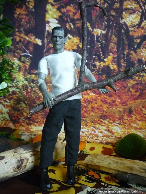 Сентябрьский пикник в Гиблом лесу