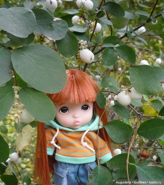 Дуля! Тот ещё фрукт — Гибриды шарнирных кукол (не БЖД): подбор тела (фото 10)