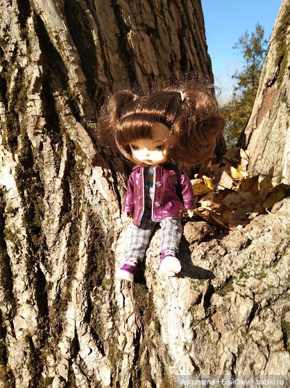 Измайловский остров. Ксю и Глафира (фото 8)