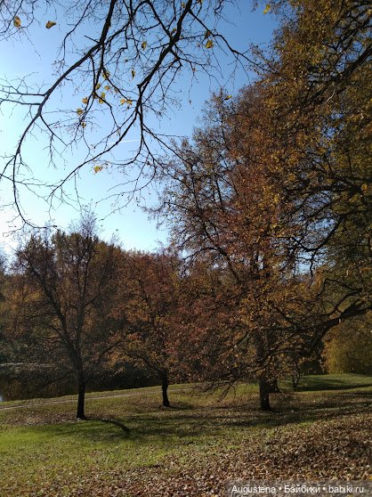 Измайловский остров. Ксю и Глафира (фото 4)