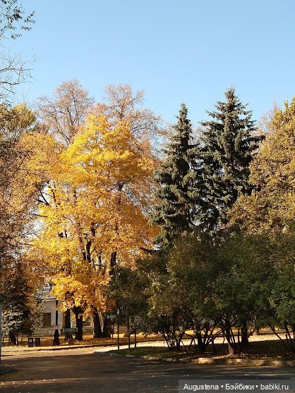 Измайловский остров. Ксю и Глафира (фото 2)