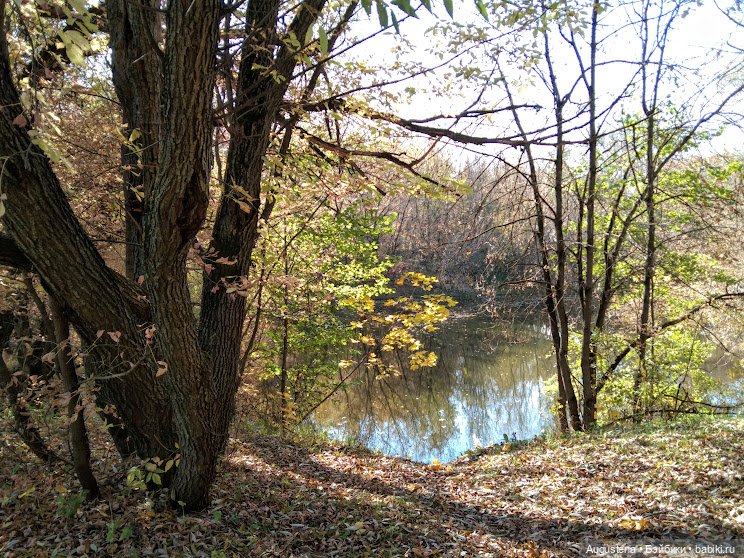 Измайловский остров. Ксю и Глафира