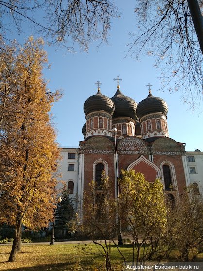 Измайловский остров. Ксю и Глафира (фото 3)