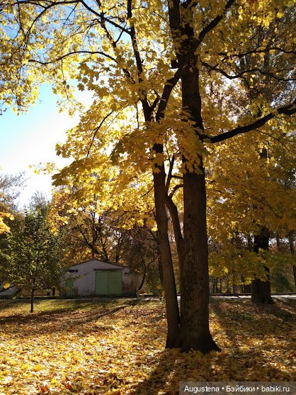 Измайловский остров. Рейра (фото 2)