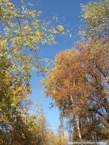 Измайловский остров. Рейра (фото 8)