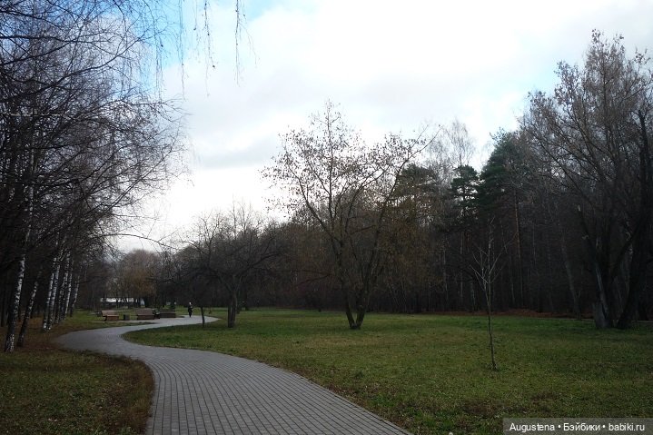 Добавим поздней осени ярких красок