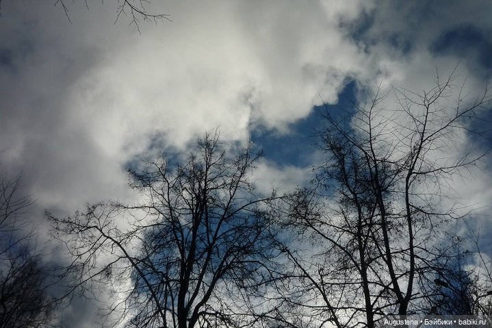 Добавим поздней осени ярких красок (фото 9)