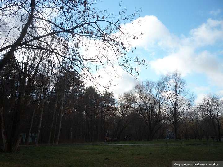 Добавим поздней осени ярких красок (фото 3)
