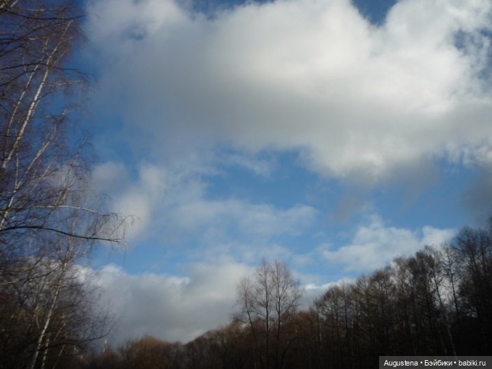 Добавим поздней осени ярких красок (фото 6)