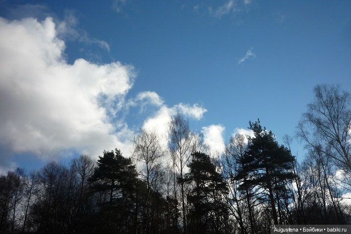 Добавим поздней осени ярких красок