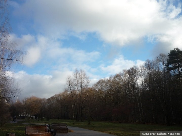 Добавим поздней осени ярких красок (фото 7)