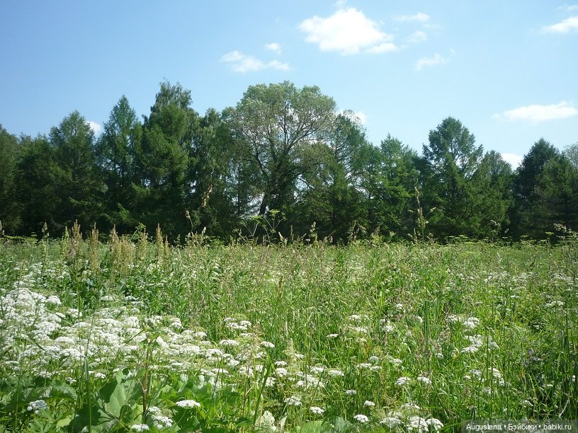 Поворот на лето — Болталка и разговоры обо всем: жизнь