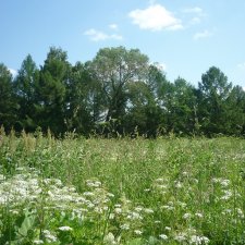 Поворот на лето