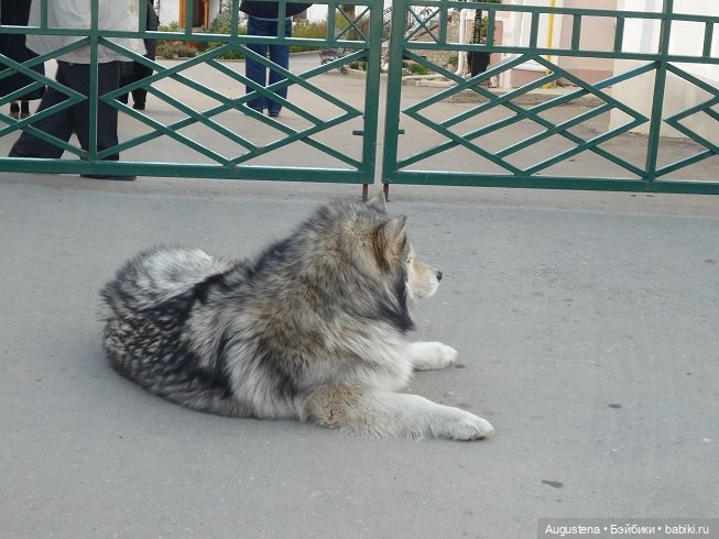 Май 2022. Дивеево, Арзамас