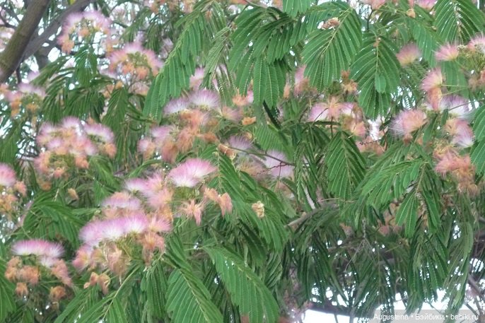 Крым 2022. Променад по набережной