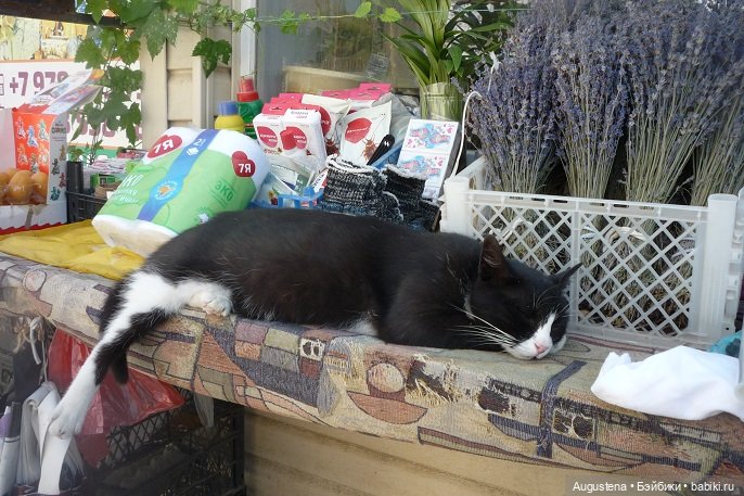 Крым 2022. Променад по набережной