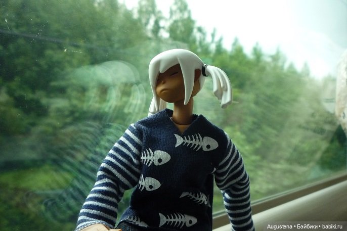 Выжить в Карелии со Скан-тур. Часть 1-я (фото 4)