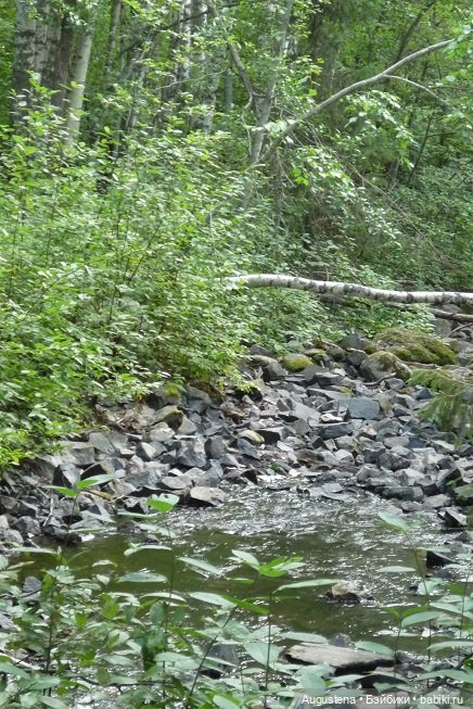 Выжить в Карелии со Скан-тур. Часть 2-я