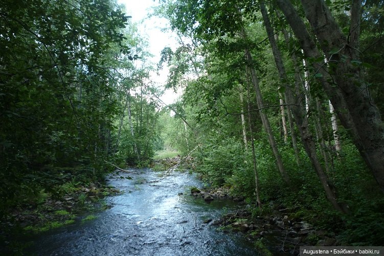Выжить в Карелии со Скан-тур. Часть 2-я