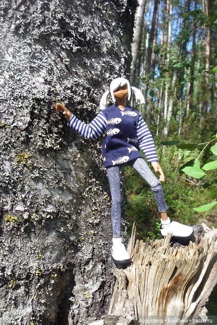 Выжить в Карелии со Скан-тур. Часть 2-я