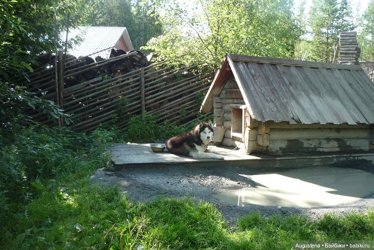 Выжить в Карелии со Скан-тур. Часть 2-я