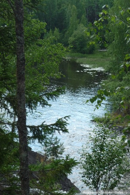 Выжить в Карелии со Скан-тур. Часть 2-я