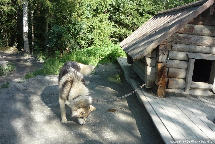 Выжить в Карелии со Скан-тур. Часть 2-я