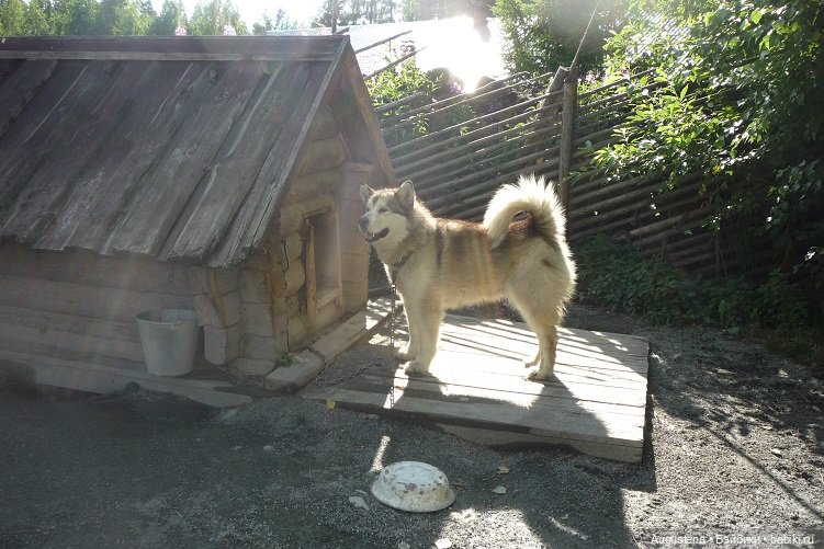 Выжить в Карелии со Скан-тур. Часть 2-я