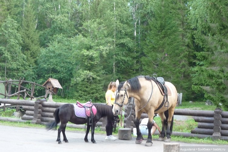 Выжить в Карелии со Скан-тур. Часть 2-я