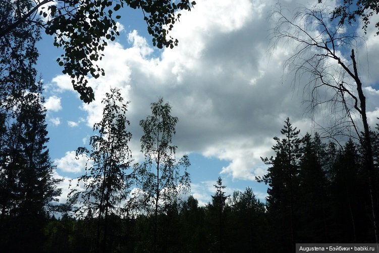 Выжить в Карелии со Скан-тур. Часть 2-я