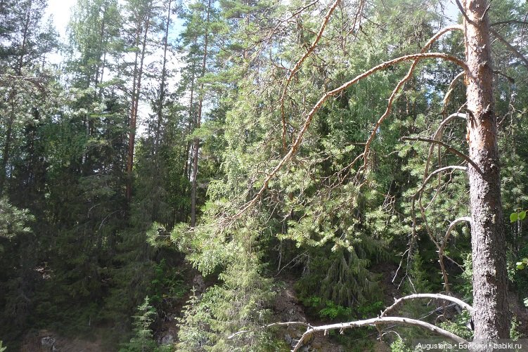 Выжить в Карелии со Скан-тур. Часть 2-я