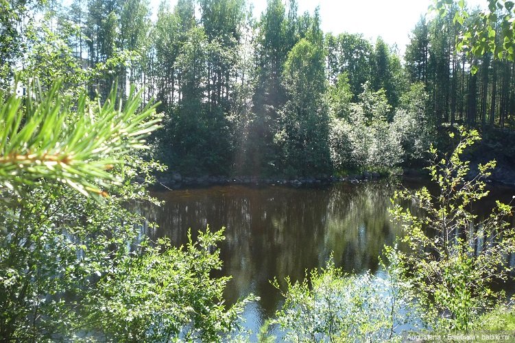 Выжить в Карелии со Скан-тур. Часть 2-я