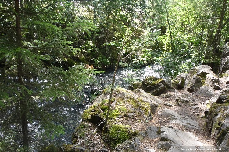 Выжить в Карелии со Скан-тур. Часть 2-я