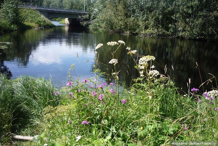 Выжить в Карелии со Скан-тур. Часть 3-я (фото 7)