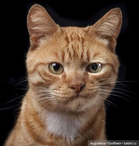 Выжить в Карелии со Скан-тур. Часть 3-я