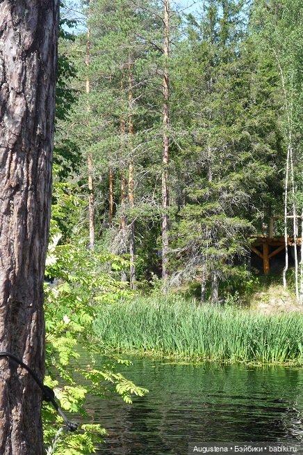 Выжить в Карелии со Скан-тур. Часть 3-я (фото 3)