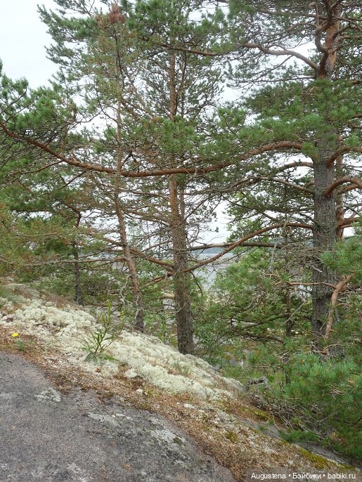 Выжить в Карелии со Скан-тур. Часть 4-я