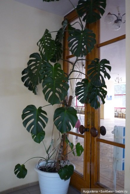 Выжить в Карелии со Скан-тур. Часть 4-я (фото 7)