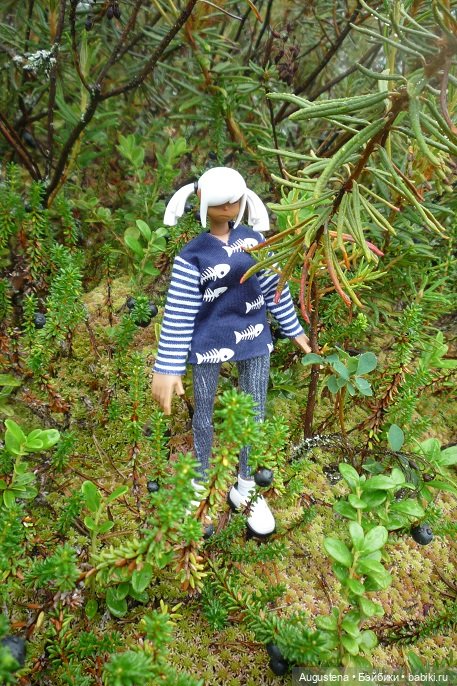 Выжить в Карелии со Скан-тур. Часть 4-я