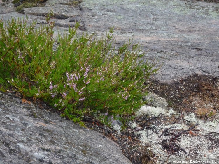 Выжить в Карелии со Скан-тур. Часть 4-я
