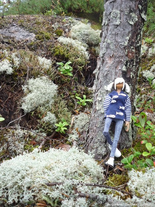 Выжить в Карелии со Скан-тур. Часть 4-я