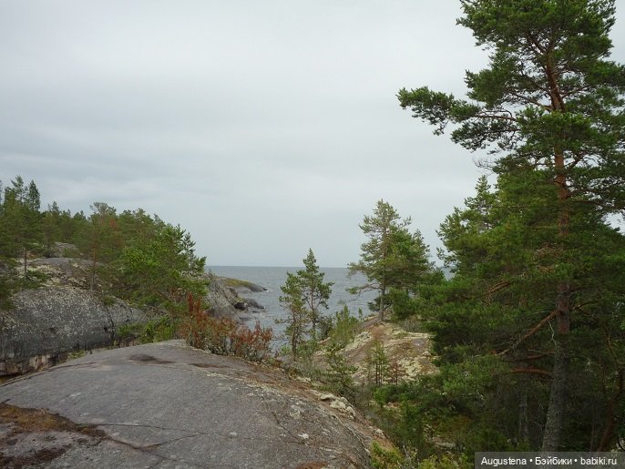 Выжить в Карелии со Скан-тур. Часть 4-я