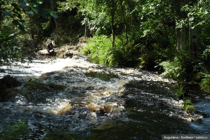 Выжить в Карелии со Скан-тур. Часть 5-я заключительная
