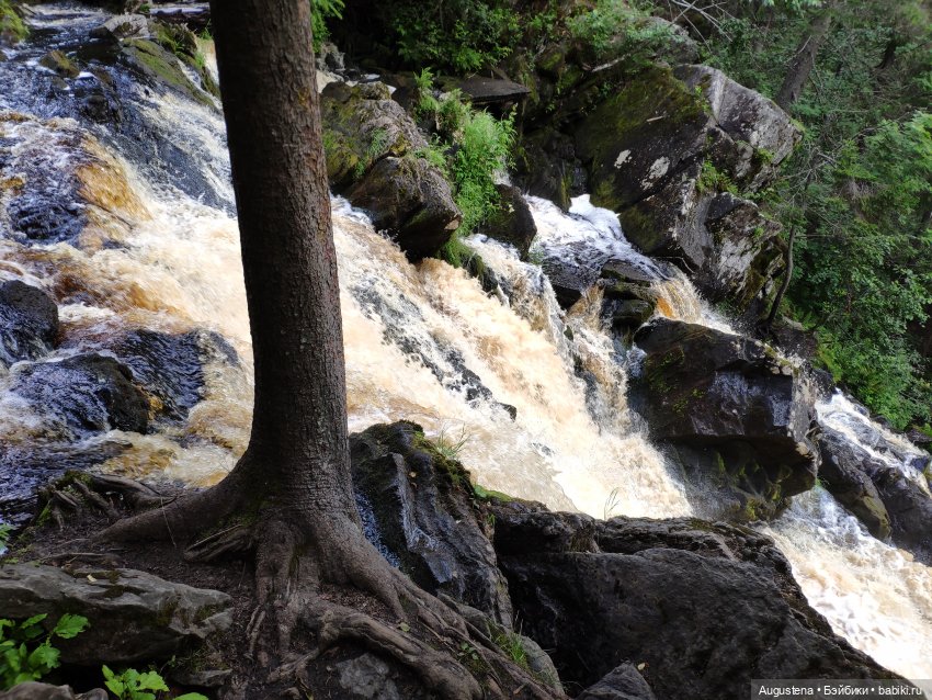 Выжить в Карелии со Скан-тур. Часть 5-я заключительная