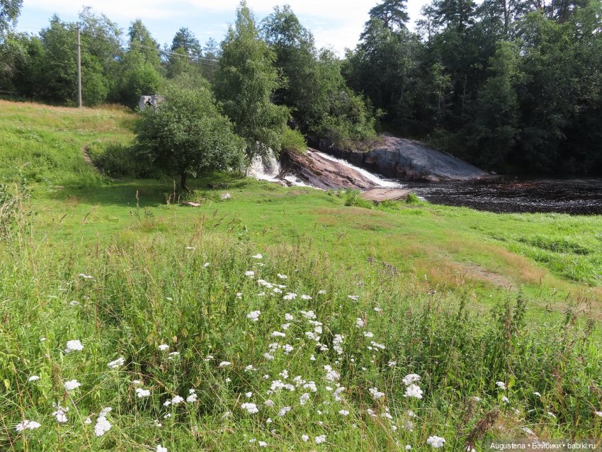 Выжить в Карелии со Скан-тур. Часть 5-я заключительная (фото 8)